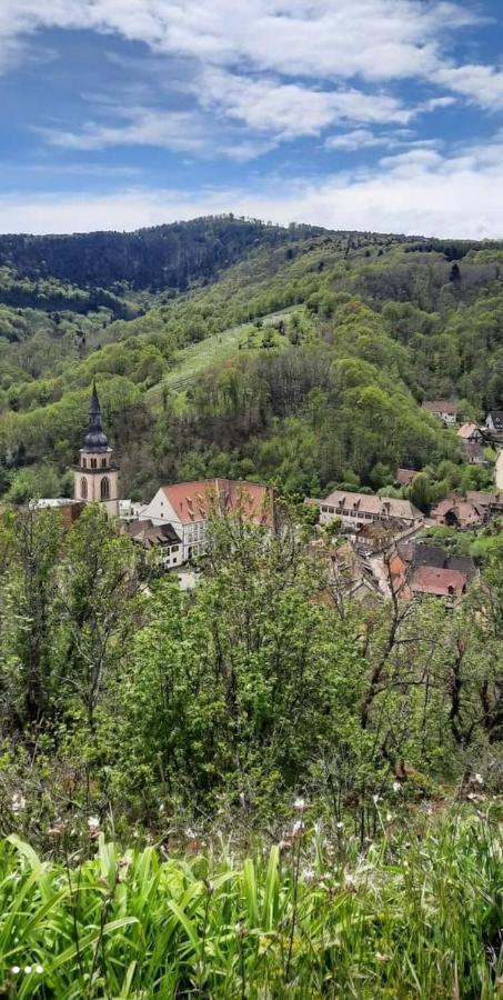 Gite A Andlau Εξωτερικό φωτογραφία
