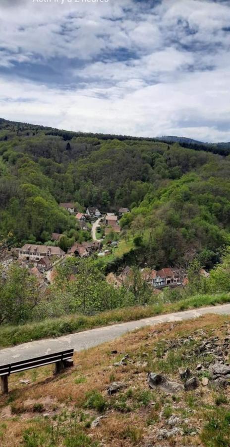 Gite A Andlau Εξωτερικό φωτογραφία